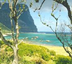 Mt. Gower - Lord Howe Island