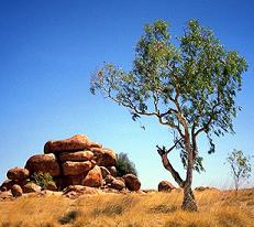 Devils Marbles NT