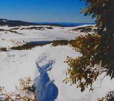 Lake, Falls Creek